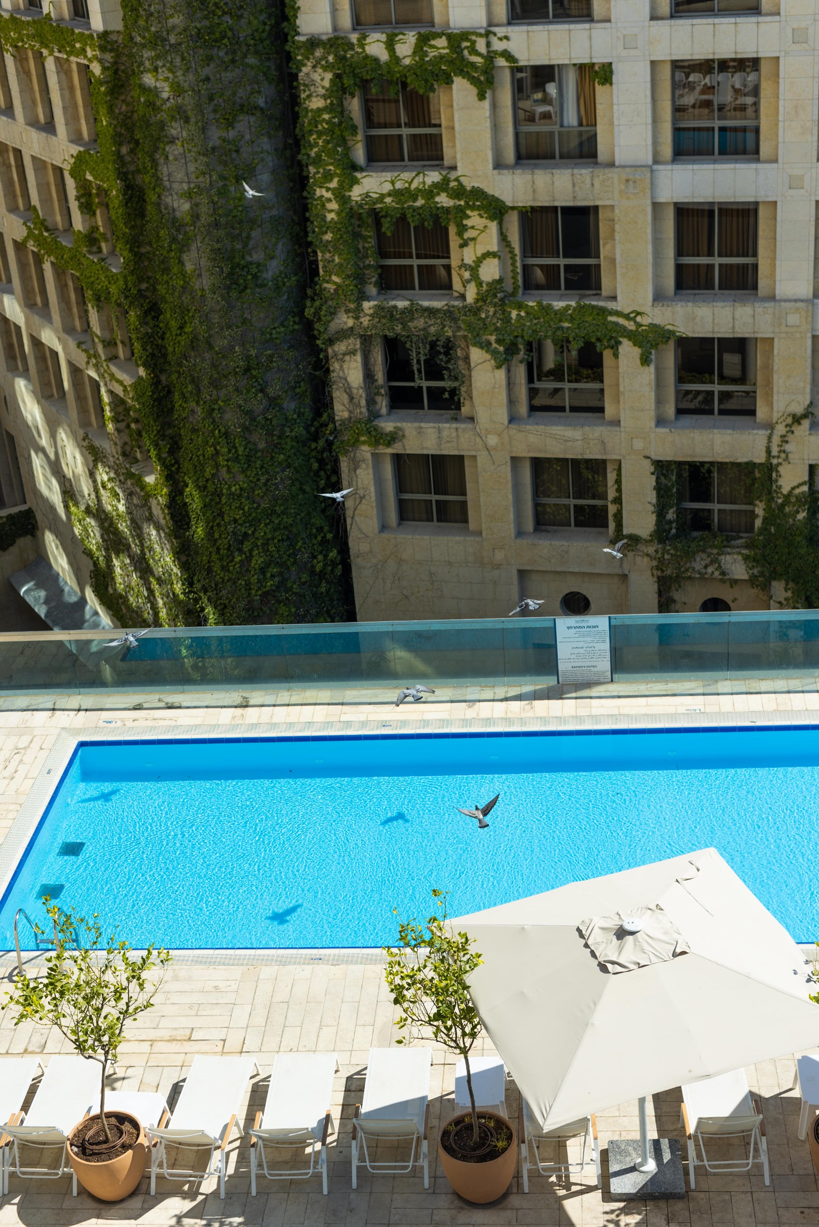 Grand Court Jerusalem - Swimming Pool